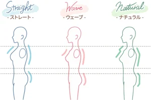 骨格3タイプの比較画像